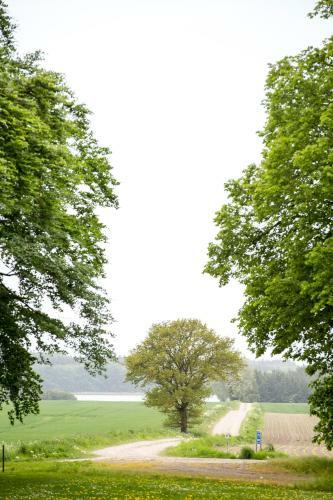 Bed & Breakfast Nyk�bing Falster
