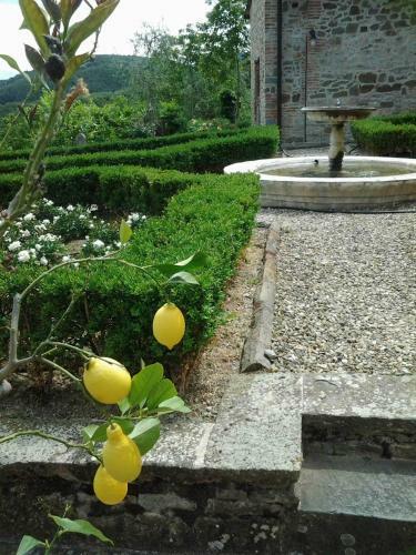 Agroturismo Residenza San Leo