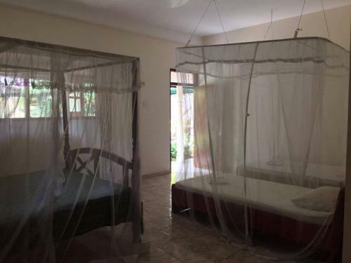 Hostal Palm Grove
