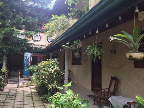 Hostal Palm Grove
