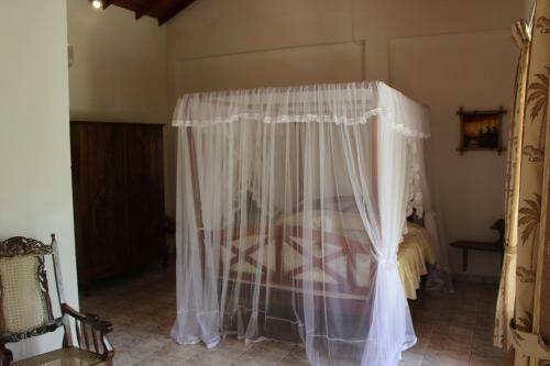 Hostal Palm Grove