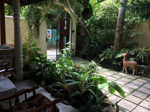 Hostal Palm Grove