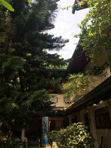 Hostal Palm Grove