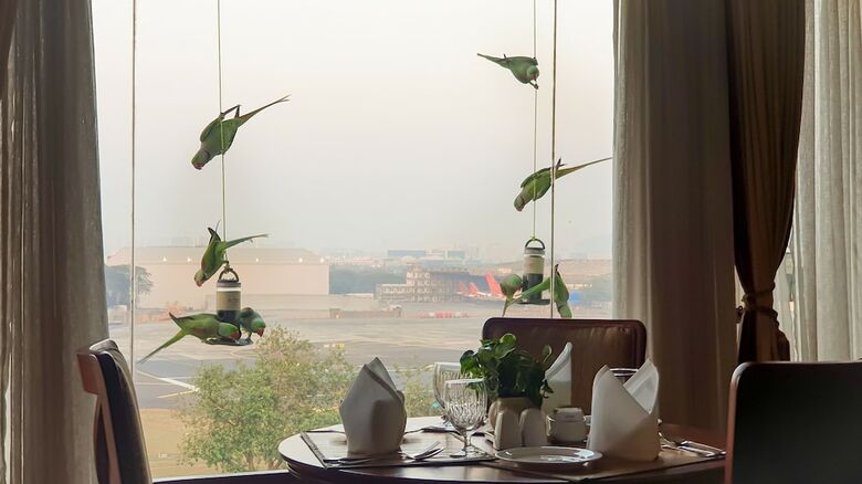 Hotel The Orchid