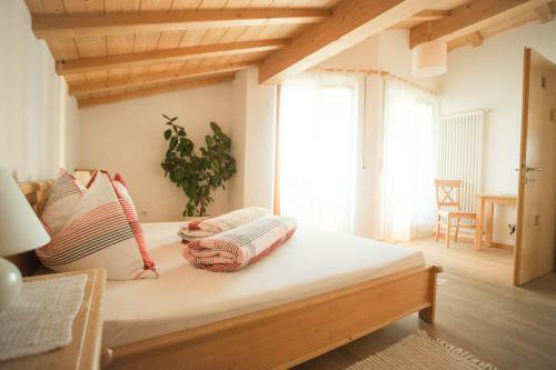 Hostal Tollhof
