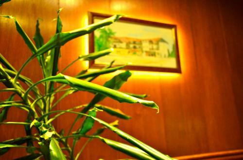 Golden Card Motel
