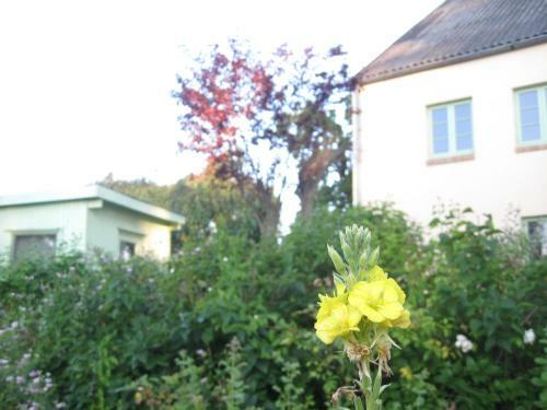 Apartamento Hof Rodenkrog