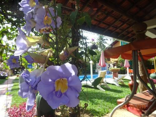 Hotel Hilda Guest House