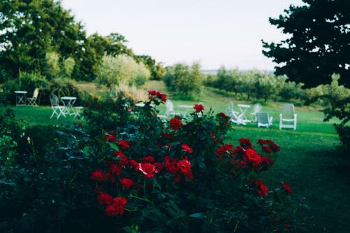 Bed & Breakfast Podere San Francesco