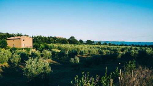 Bed & Breakfast Podere San Francesco