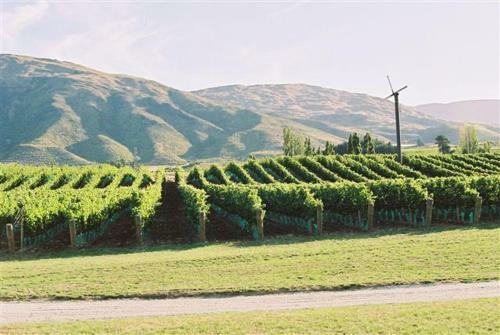 Agroturismo Pagan Vines Vineyard Accommodation