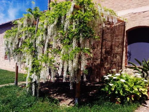 Hostal La Fornace Di San Galgano