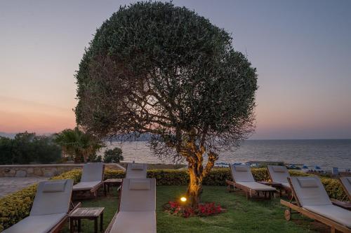 Aparthotel Cretan Dream Royal