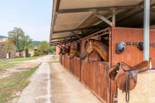 Hostal Agriturismo Le Case Rosse Di Montebuono