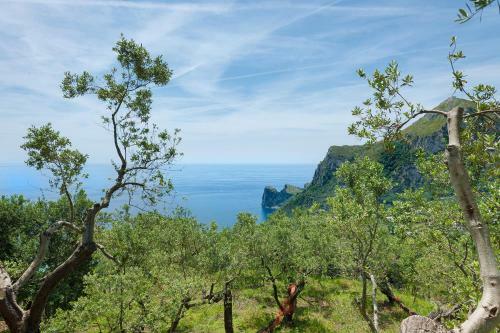 Hostal Villa Saretta