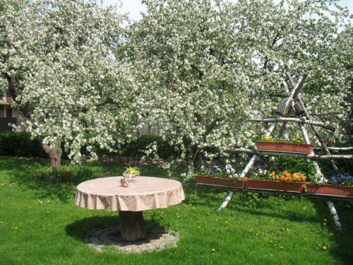 Hostal Pulkvedis Guest House