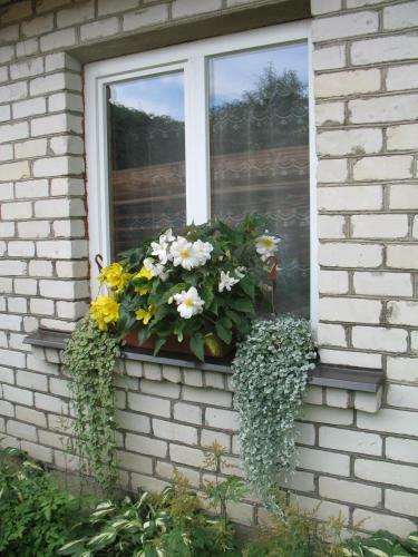Hostal Pulkvedis Guest House
