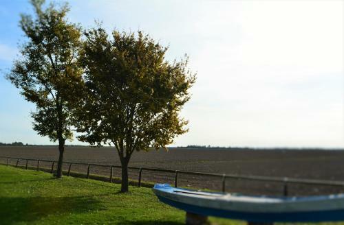 Agroturismo Alloggi E Trattoria Agli Alberoni