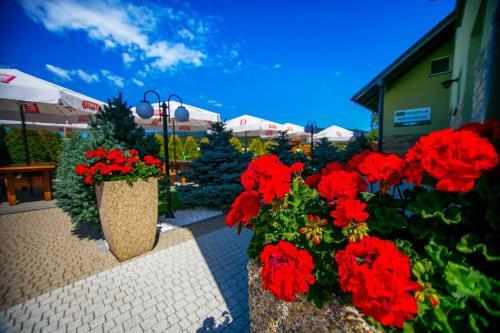 Bed & Breakfast Cubus Event