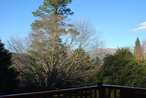 Laragh-on-hogsback