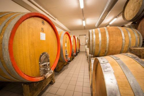 Agroturismo Foresteria Settevie