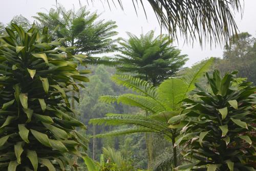 Agroturismo Caba�as La Jicarita