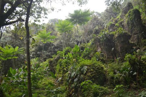 Agroturismo Caba�as La Jicarita
