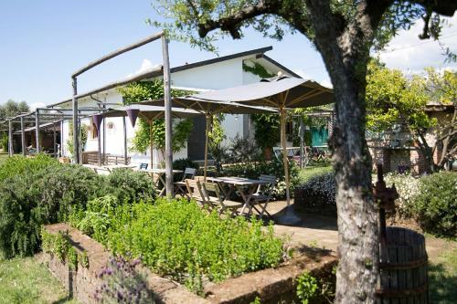 Agroturismo Olimagio
