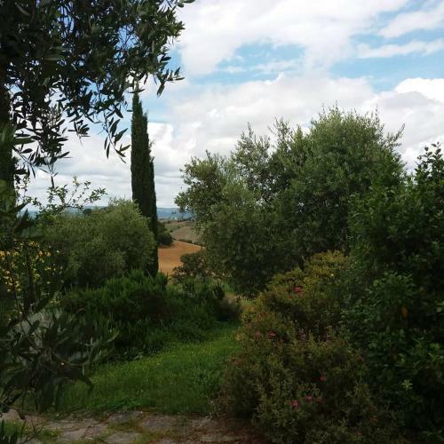 Agroturismo Casa Vacanze Poderino