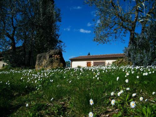 Agroturismo Agriturismo Montegonfoli