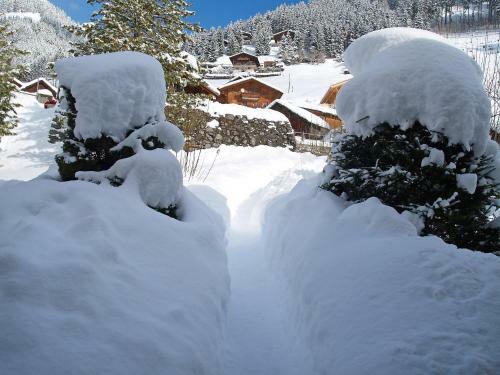 Holiday Home Hofli Jaun