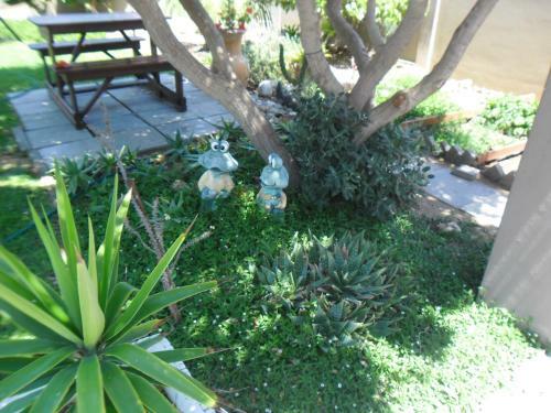 Hostal Desert Villa Guesthouse