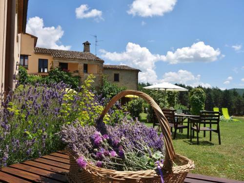 Hostal Agriturismo Monterosello