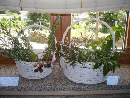 Bed & Breakfast Quinta Vale Do Nox