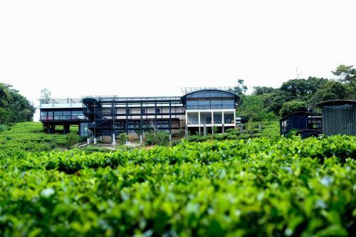 The Rainforest Ecolodge - Sinharaja