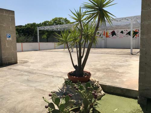 Agroturismo B&B Agrumeto