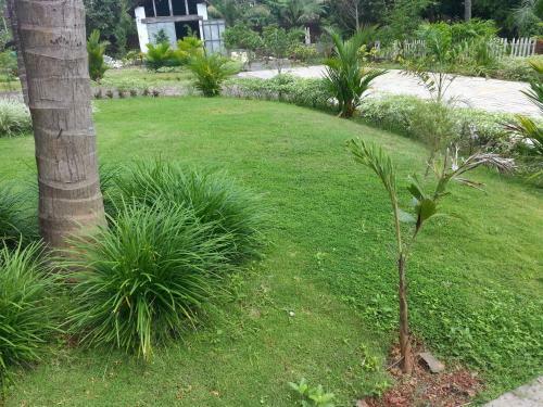 Hotel Sadhoo Holistic Inn
