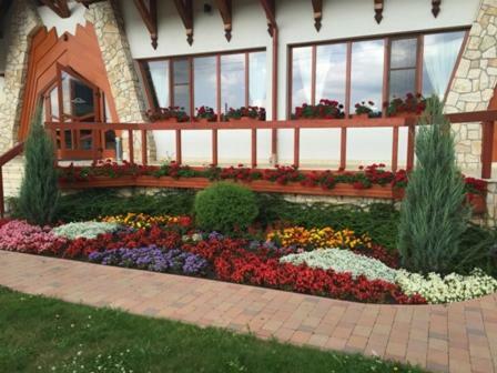 Hostal Bonanza Pensiune & Restaurant