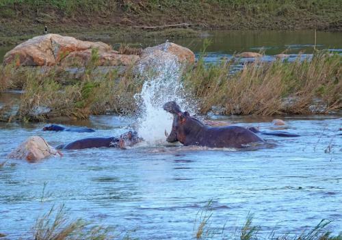 Kruger River Self-catering