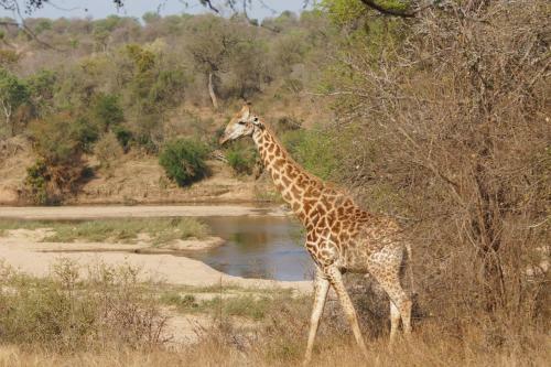 Kruger River Self-catering