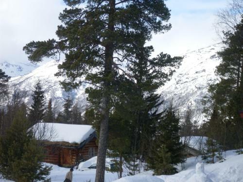 Albergue Rauland Vandrerhjem Akademiet