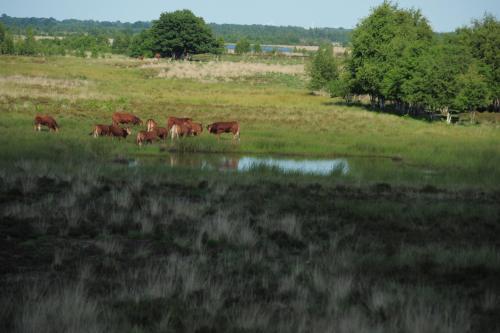 Hampshire Hotel Zuid-drenthe