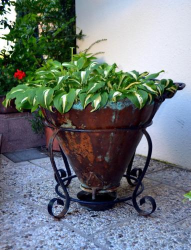 Agroturismo B&B La Betulla