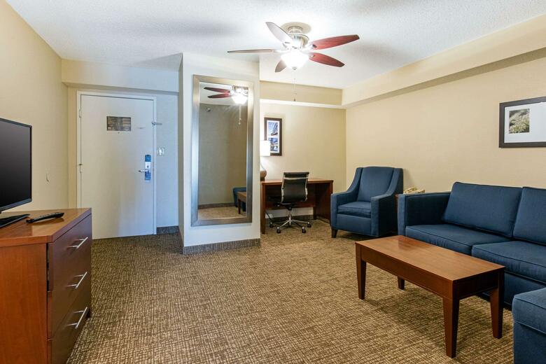 Hotel Comfort Inn And Suites - Airport