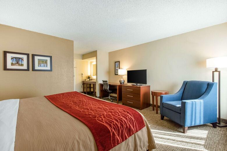 Hotel Comfort Inn And Suites - Airport