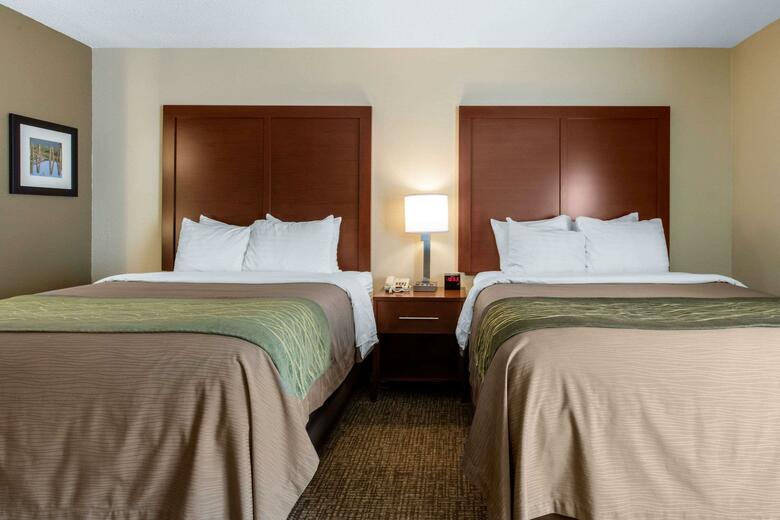 Hotel Comfort Inn And Suites - Airport