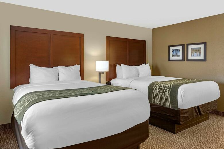 Hotel Comfort Inn And Suites - Airport