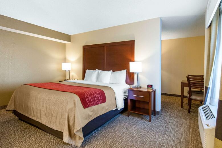 Hotel Comfort Inn And Suites - Airport