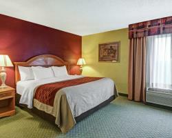 Hotel Comfort Inn And Suites - Airport