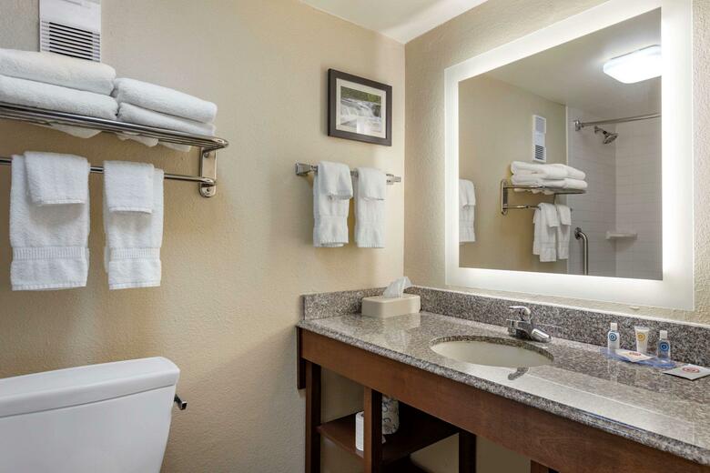 Hotel Comfort Inn And Suites - Airport